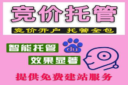 SEM投放案例：助力企业业绩增长
